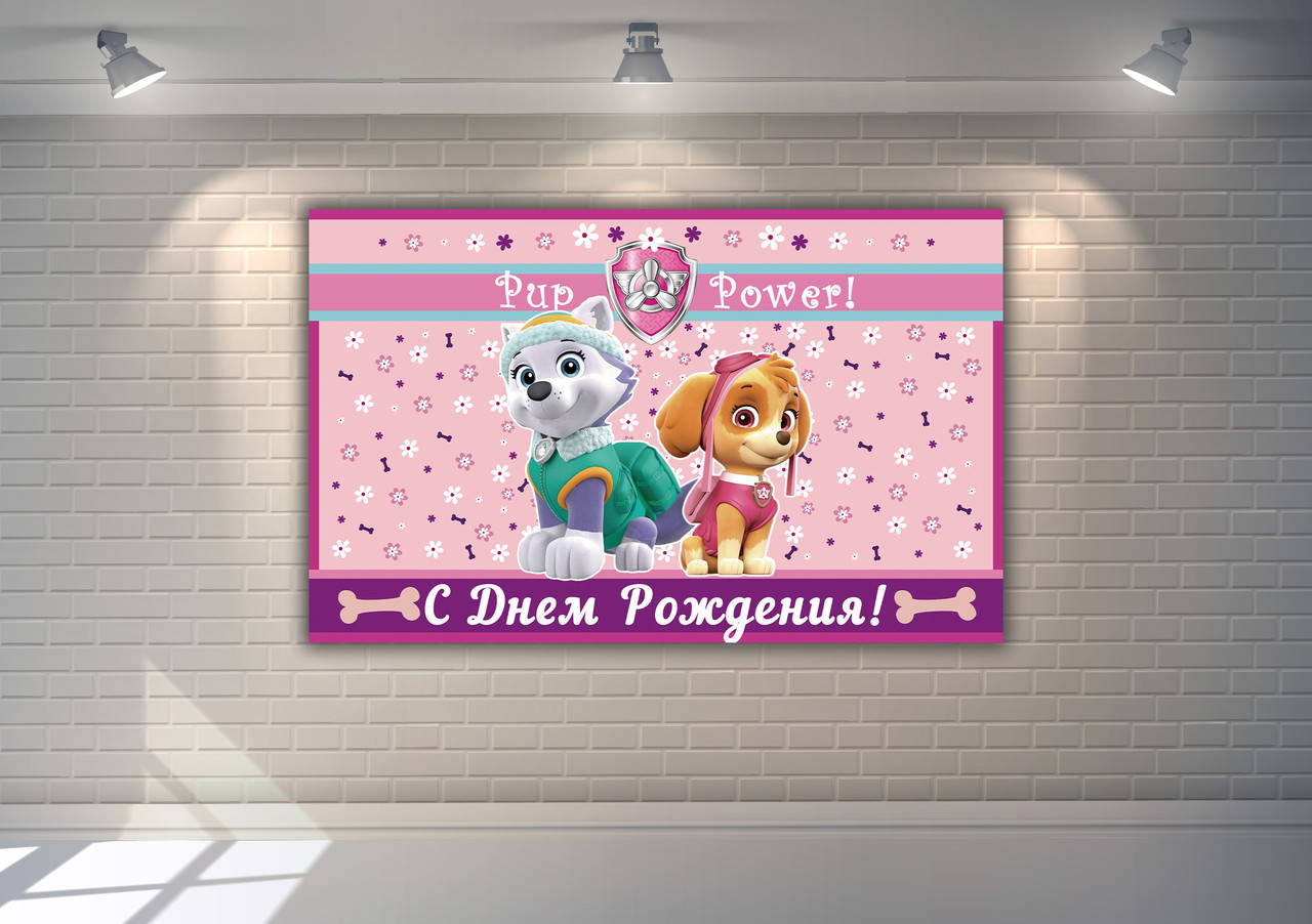 

Плакат 120х75 см в стиле "Щенячий патруль - Скай и Эверест" Розовый на детский День рождения - Русский язык