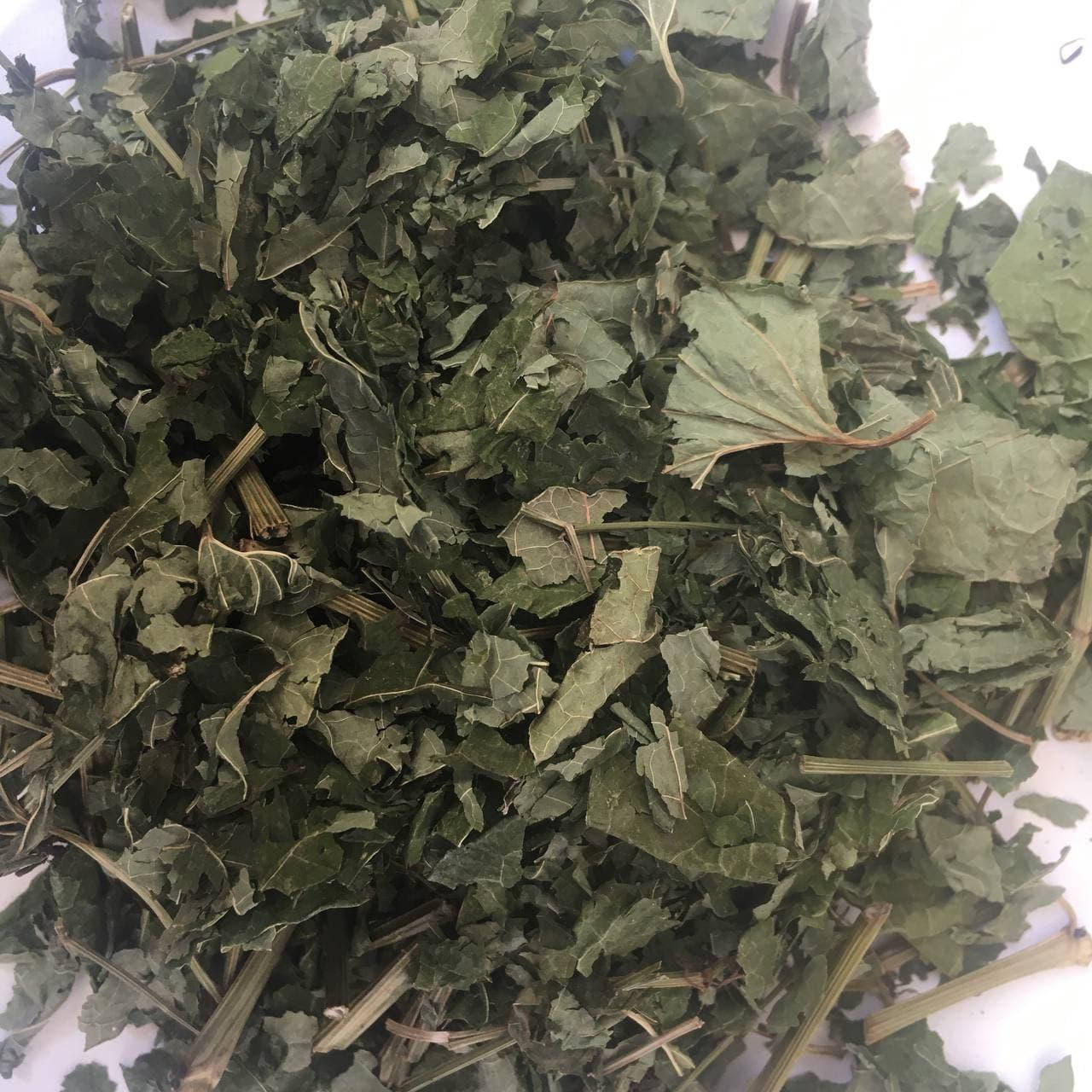 

Кирказон ( Филейник ) 50 гр