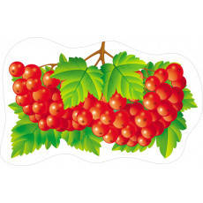 

Вырубка большая "Ветка Калины"