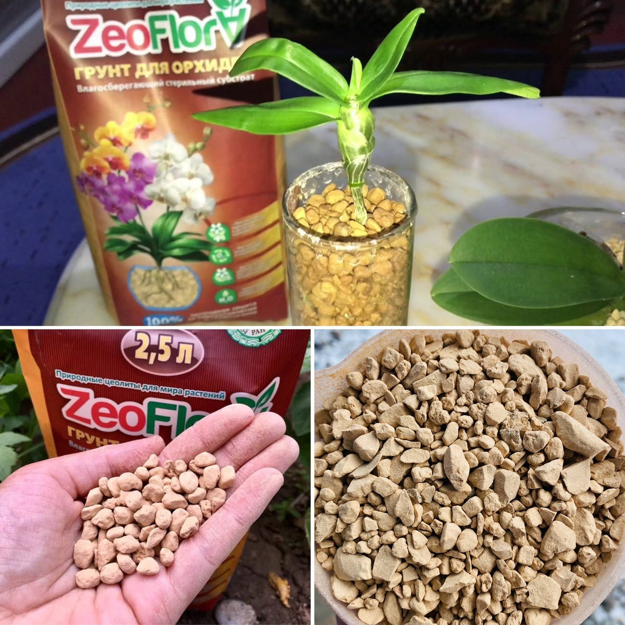 

Цеофлора Zeoflora