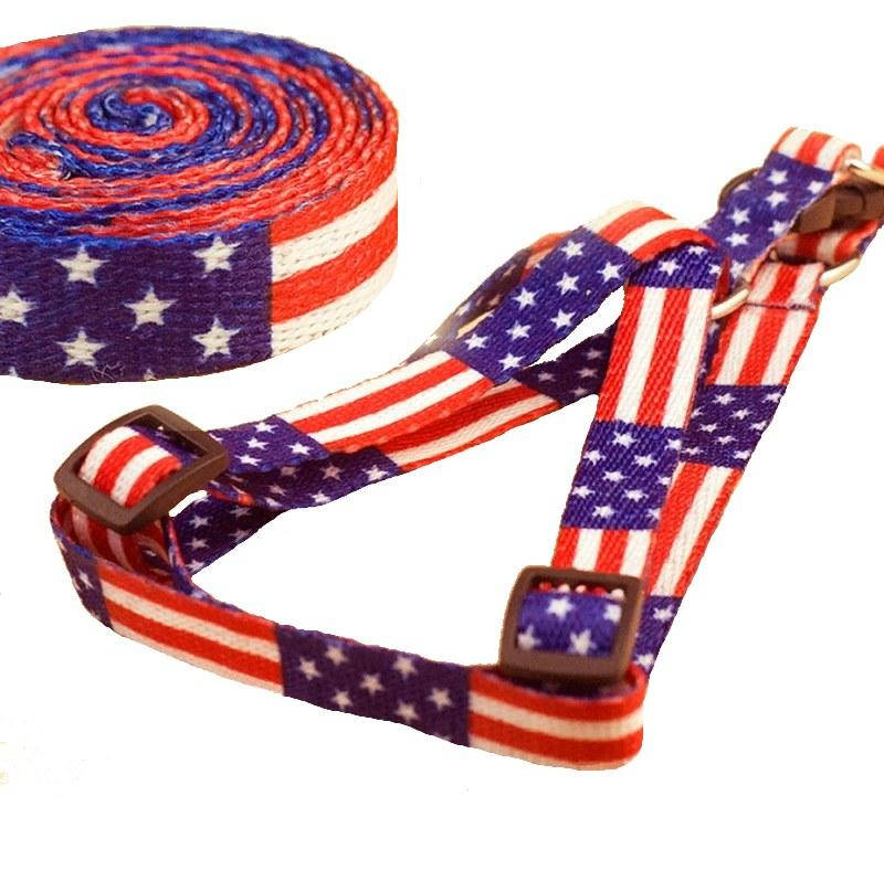 

Шлейка + поводок для собак, 1мх20-38см красно-синий