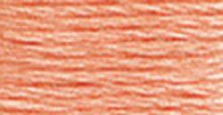 

Мулине DMC 3824 Light apricot