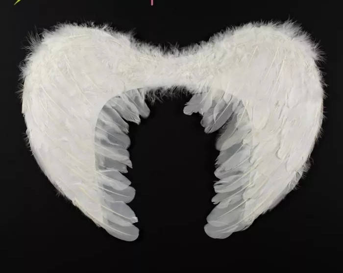 

Крылья Ангела 32*44см