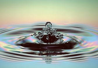 

Kombuchka (Комбучка), 5 мл.