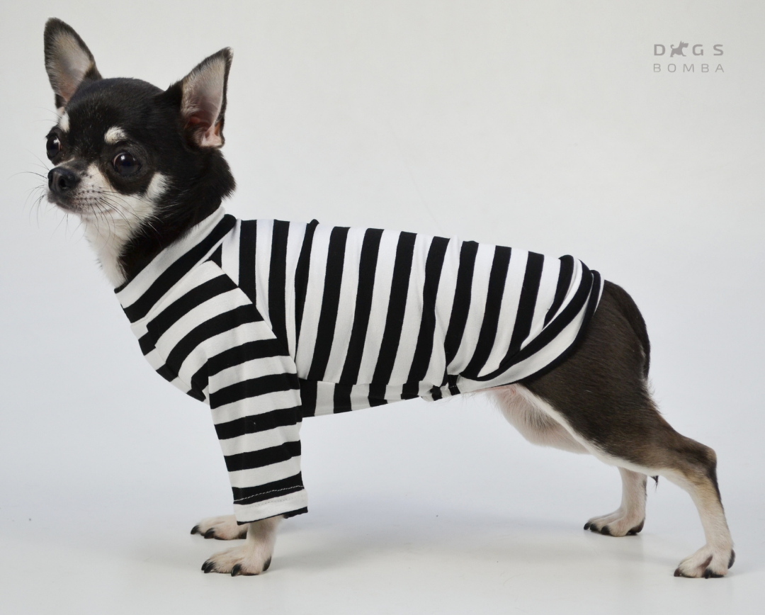 

Майка Для собак Dogs Bomba