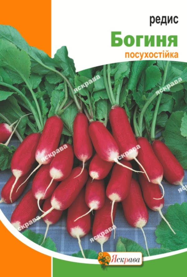 

Редис Богиня 10 г, семена Яскрава