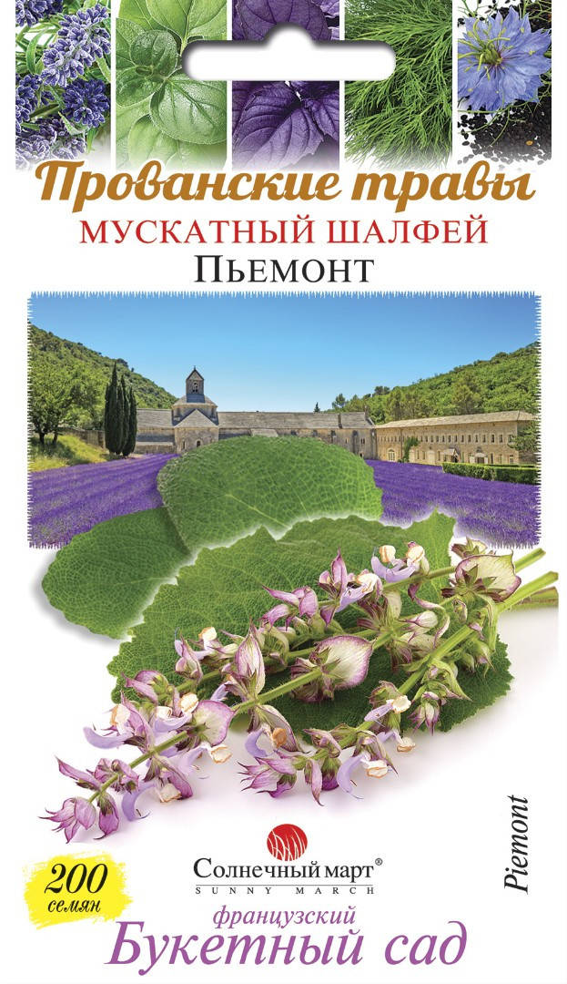 

Семена Шалфей мускатный Пьемонт 200 семян Солнечный Март