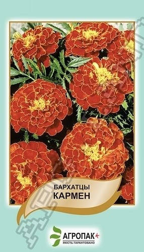 

Семена Бархатцы Кармен 0,5 грамма Legutko Агропак, Коричневый