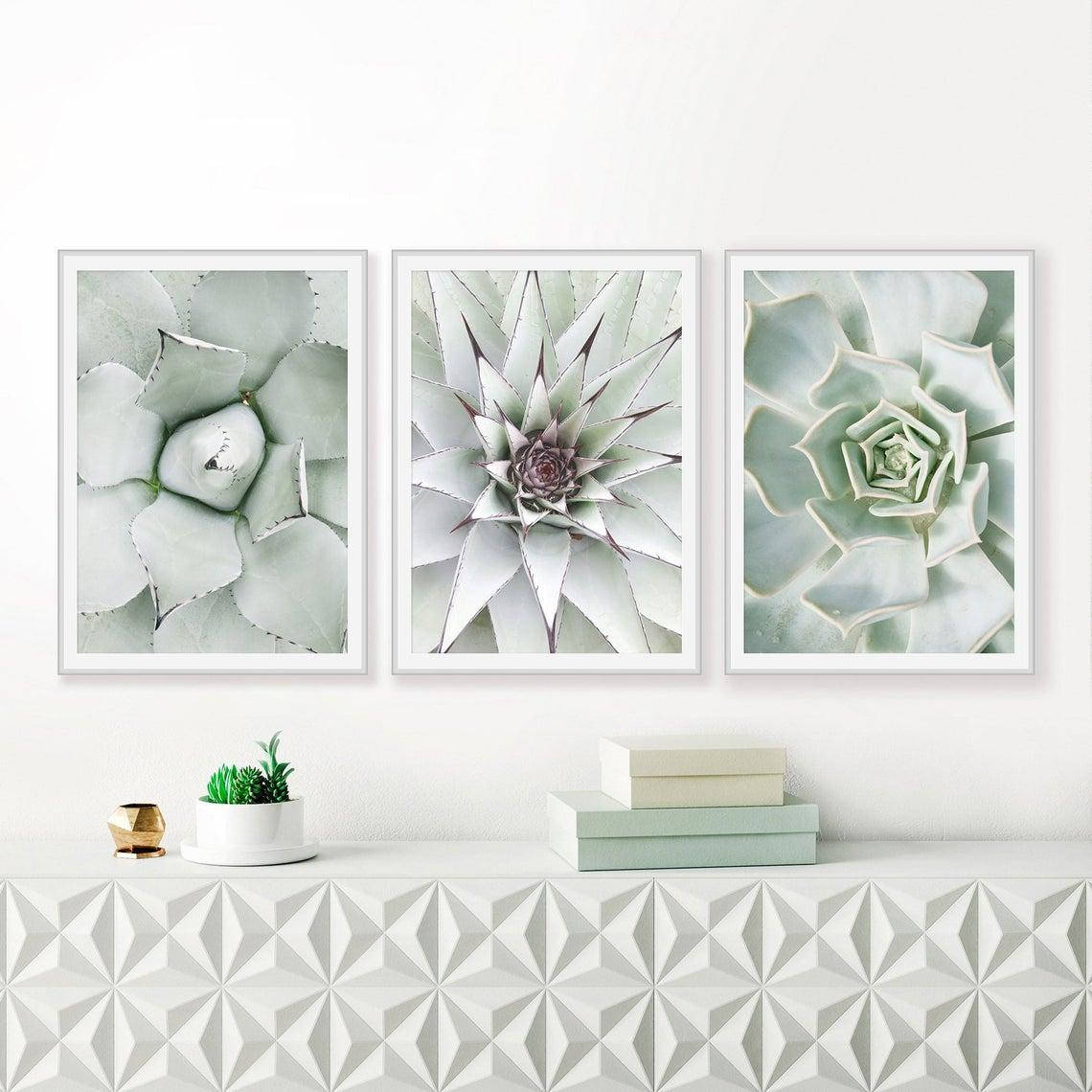 

Набор постеров Succulent Print формата А3