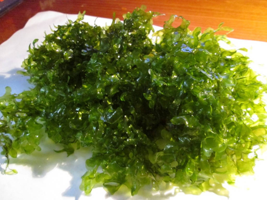 

Аквариумное растение Мох печеночный