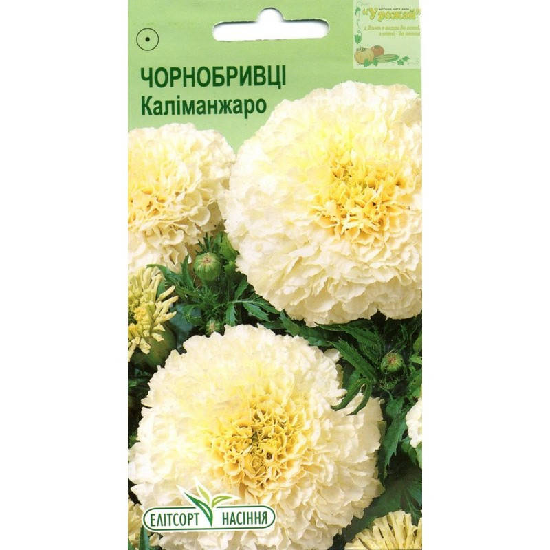 

Семена цветы Бархатцы Калиманджаро, 0,05 г, Белый