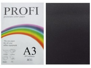 

Бумага двусторонняя цветная пастел А4 плотность 80 гр/м.кв Black (черный)
