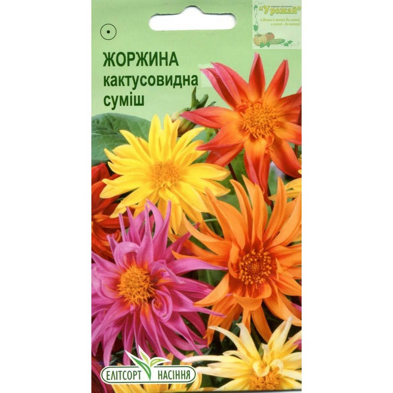 

Семена цветы Георгина Кактусовидная смесь, 0,1 г