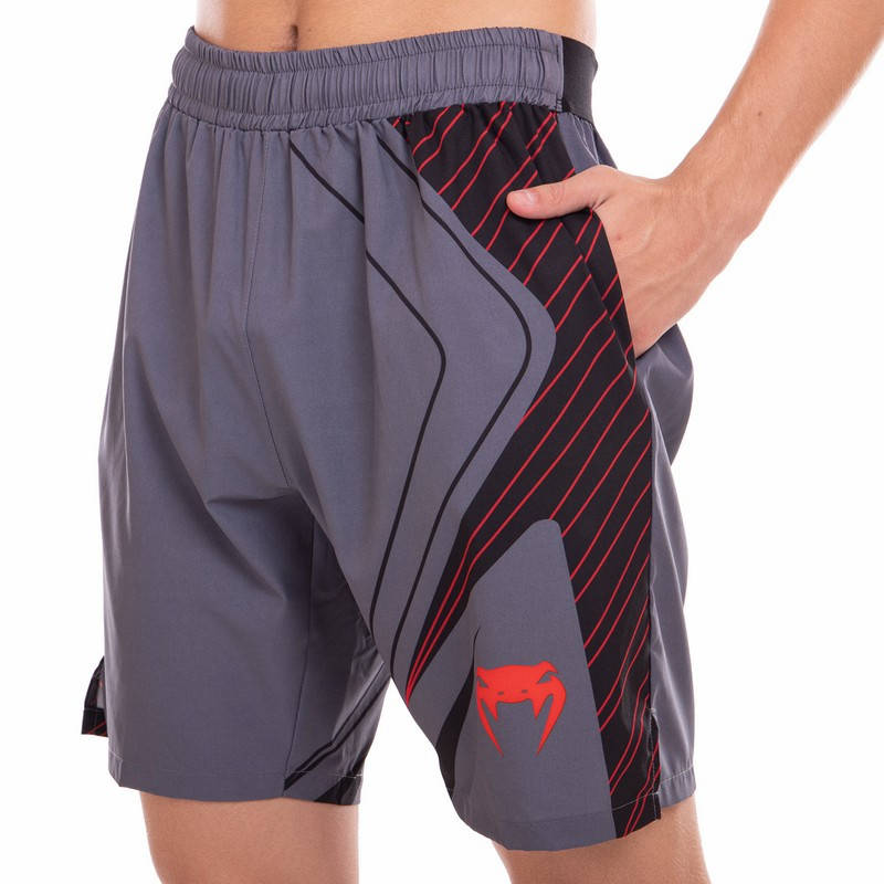 

Шорты спортивные Venum для единоборств MMA и зала V5005 (рост 165-190 см) серый