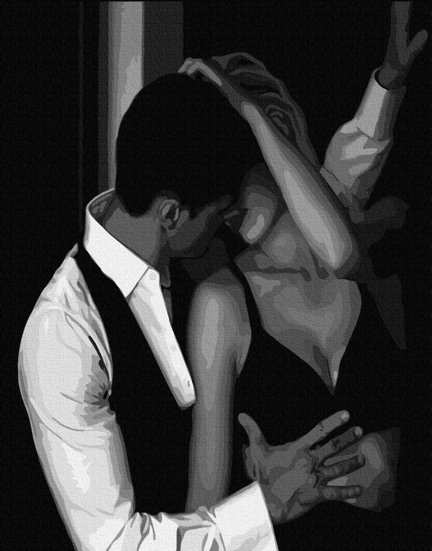 

Картина на цветном холсте по номерам Paintboy Premium В объятиях страсти 40x50см в коробке (PGX 34208)