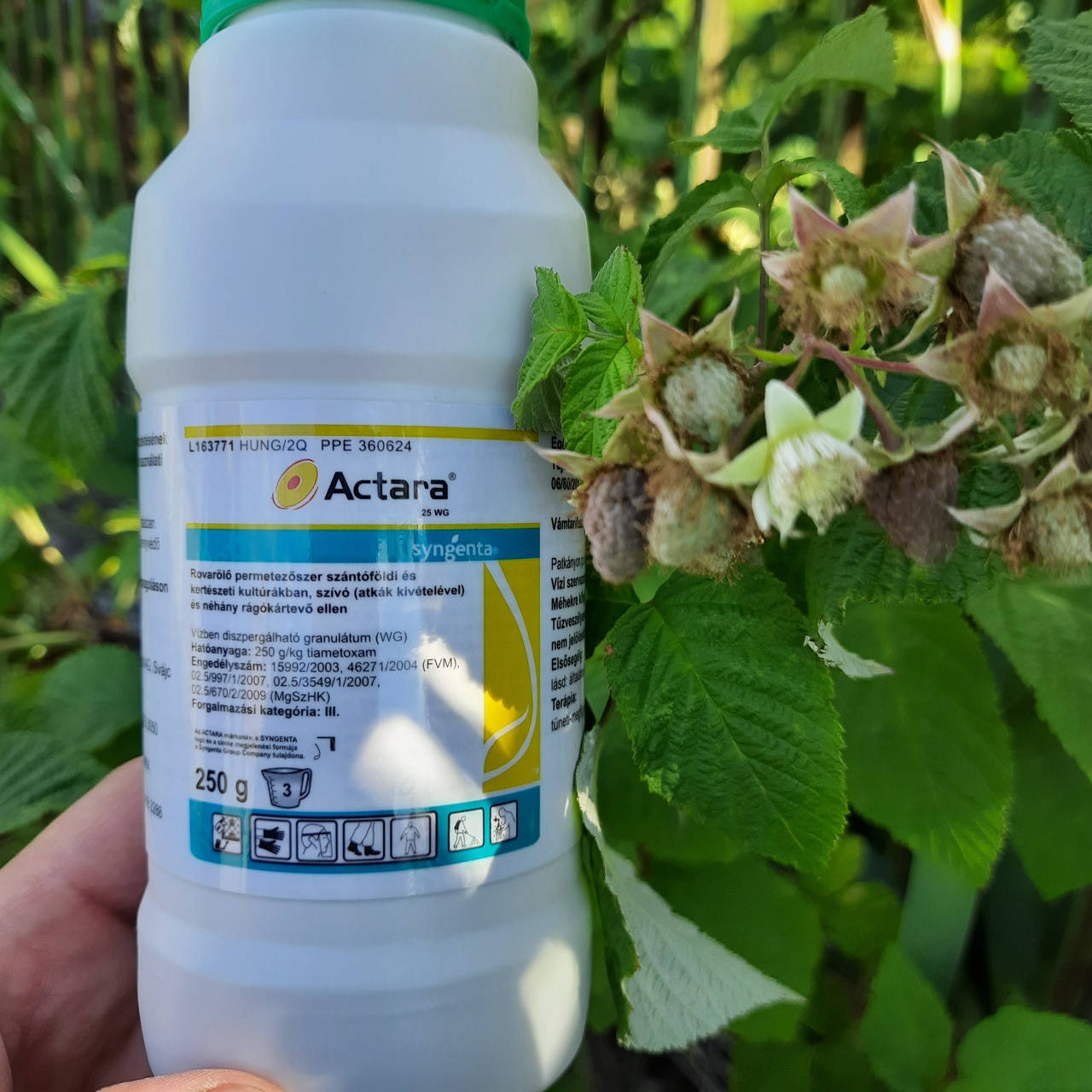 

Инсектицид Актара® 240 SC, к. с., Актара® 25 WG, в. г.