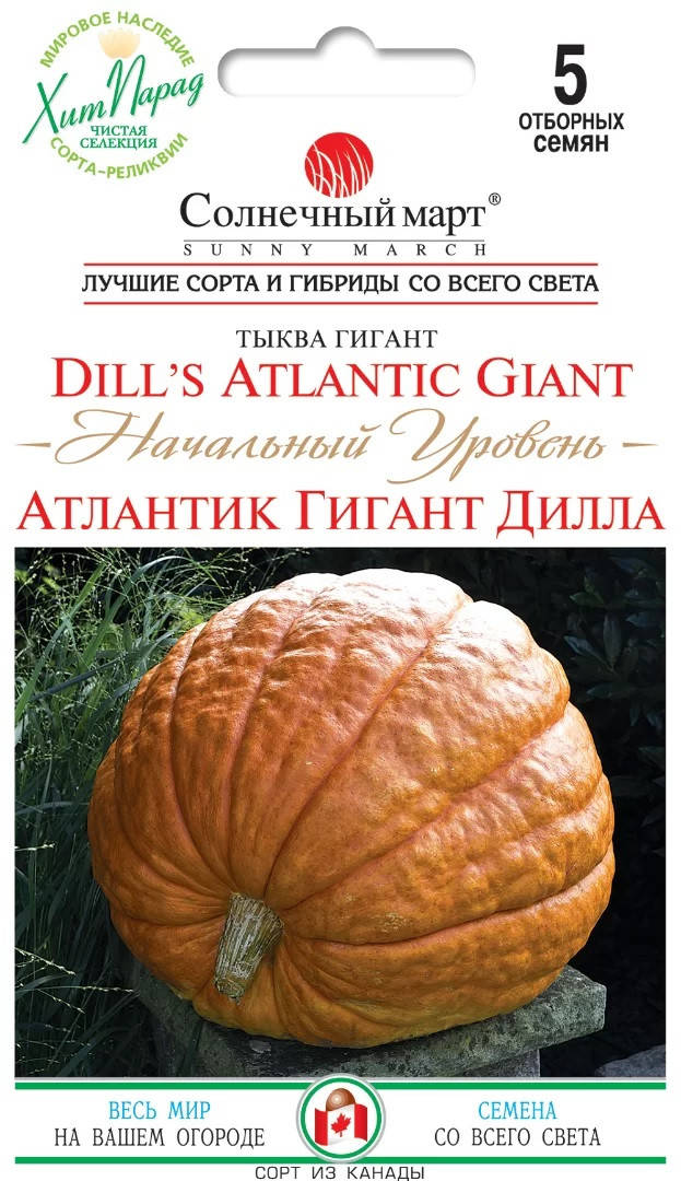 

Тыква Атлантик Начальный уровень 5 шт Солнечный март