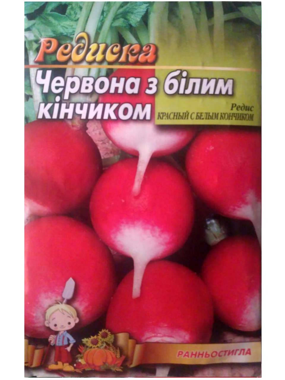 

Семена редиски с красным кончиком