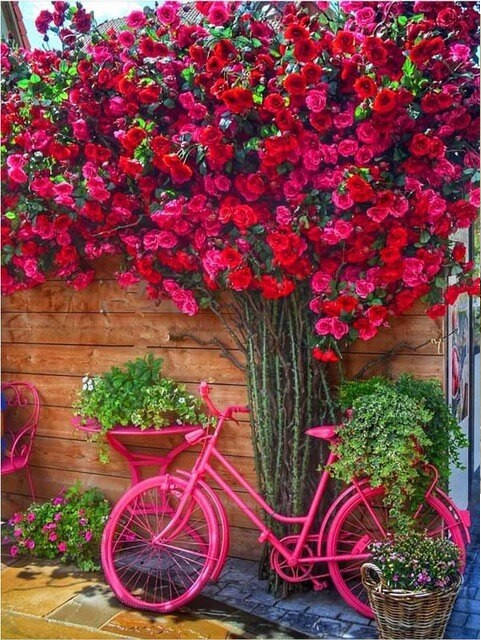 

Алмазная мозаика 40*50, на подрамнике, без подарочной упаковки