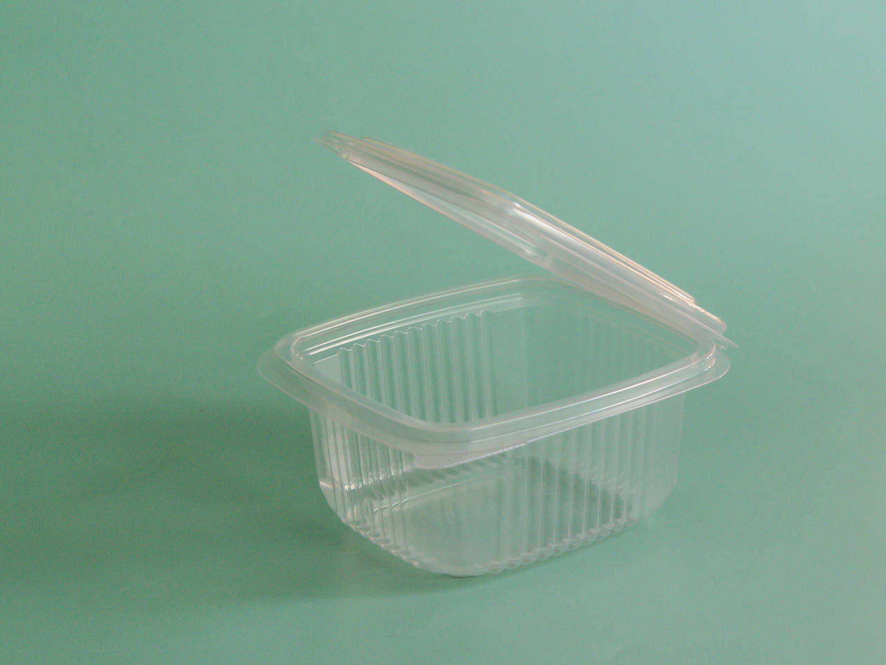 

Контейнер с крышкой РР 500 мл 267х120х65 мм