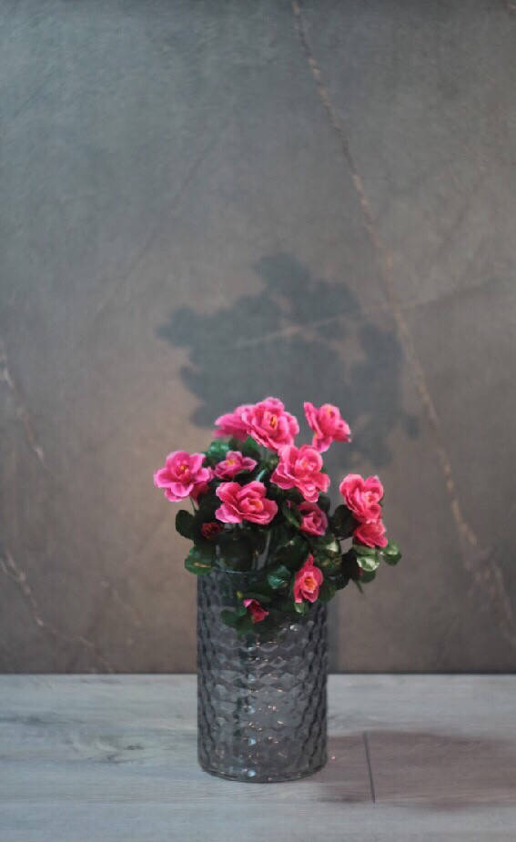 

Азалия не прес.