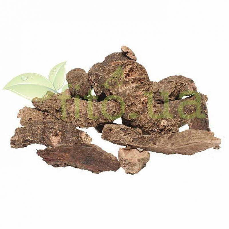 

Ириса болотного корень (Касатик) 50 гр