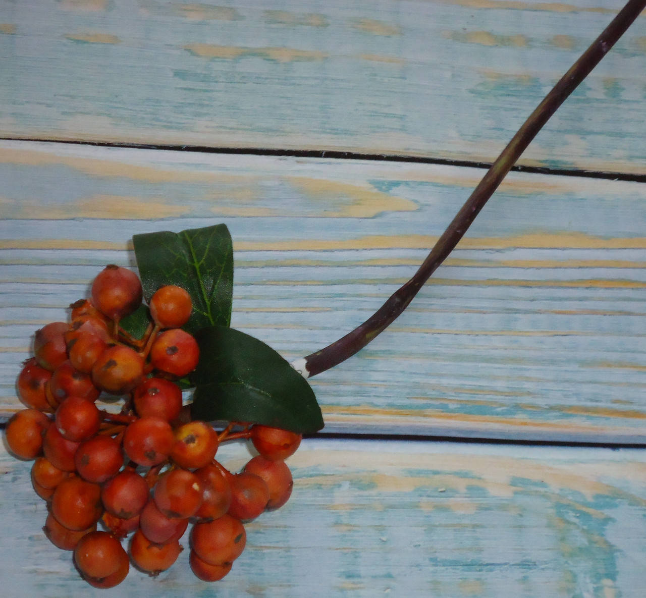 

Ветка оранжевых ягод премиум класса, Оранжевый