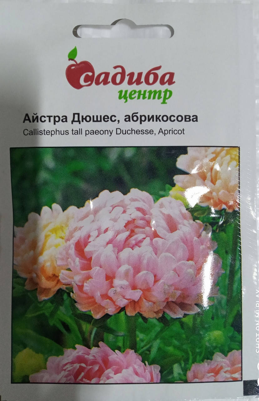 

Айстра піоновидна Дюшес абрикосова 0,2 гр."HEM ZADEN" Нідерланди