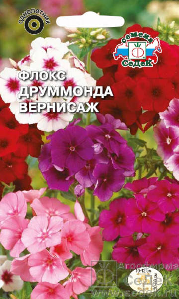 

Семена Флокс Друммонда Вернисаж 0,25 грамма Седек, Разные цвета