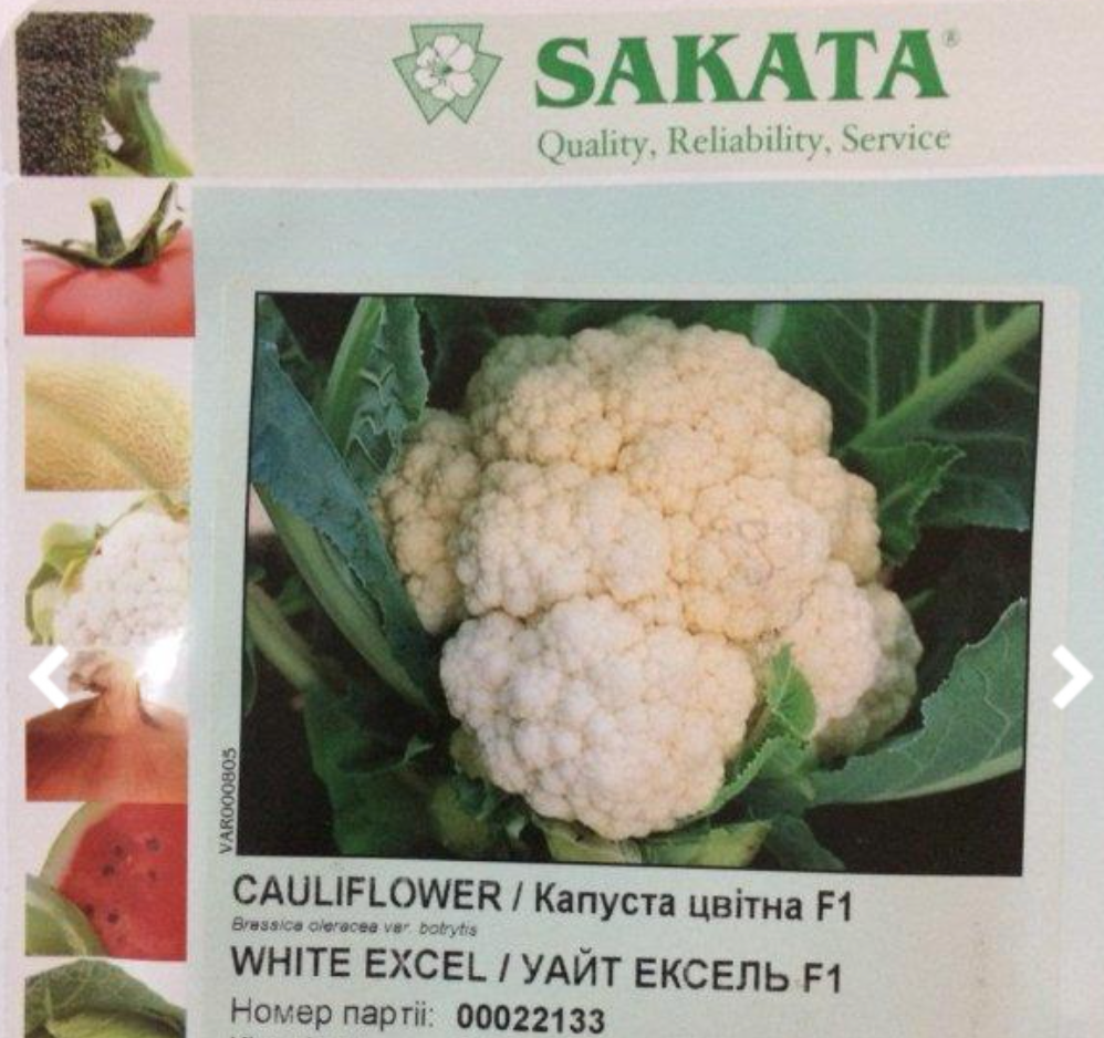 

Семена капусты Уайт Эксель / White Excel F1 1000с (Sakata)
