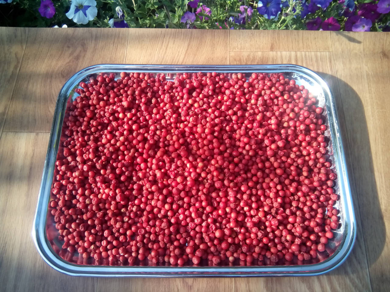 

Ягоды лимонника китайского, Сушенные отборные 100гр/230мл