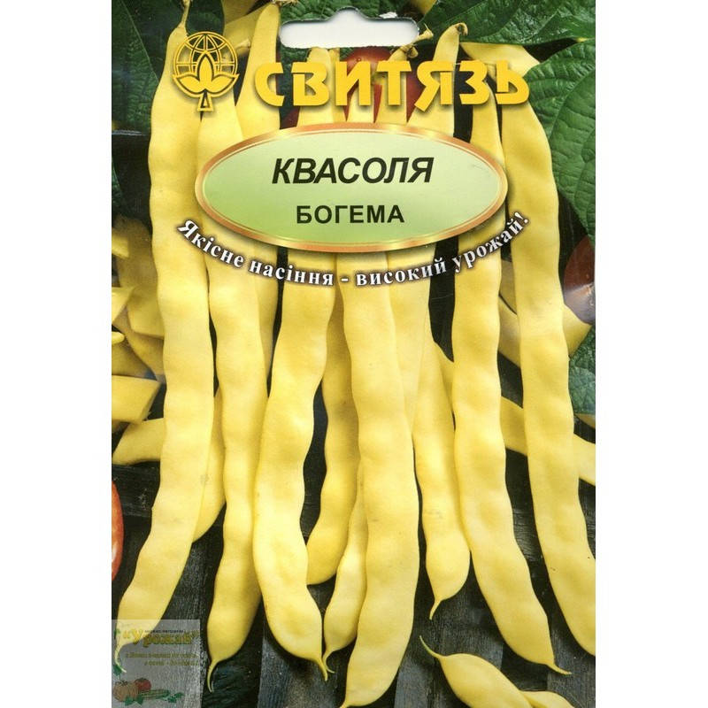 

Семена фасоль спаржевая вьющаяся желтая Богема, 20 семян