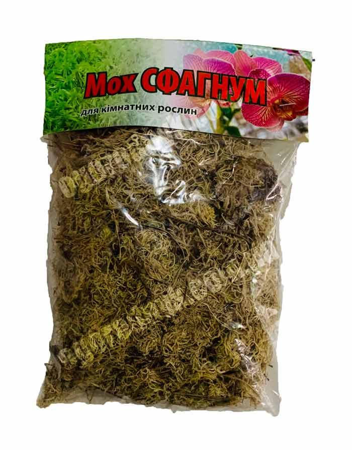 

Мох Сфагнум для орхидей