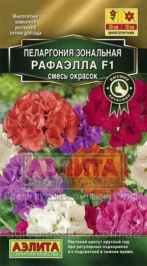 

Семена Пеларгония зональная Рафаэлла F1 смесь окрасок 5 семян Аэлита, Разные цвета