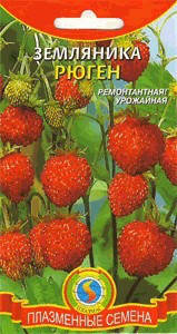 

Земляника Рюген 0,05 г (Плазменные семена)