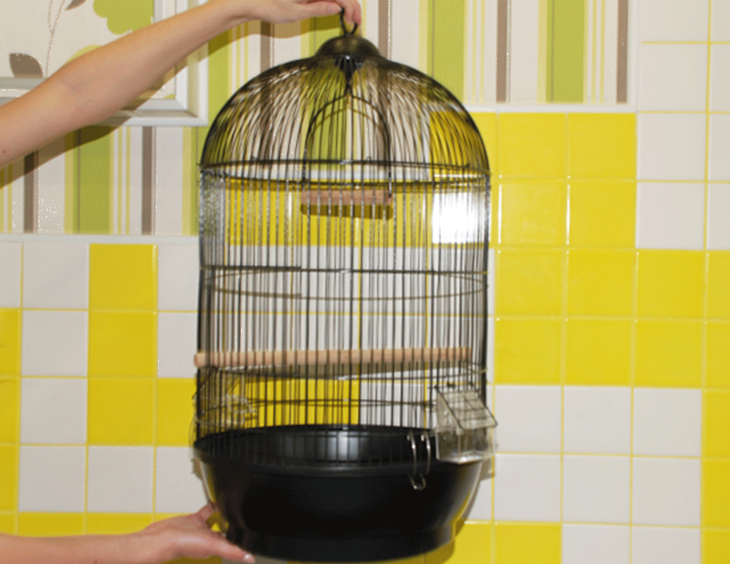 

Черная круглая клетка для средних попугаев №06B, Черный