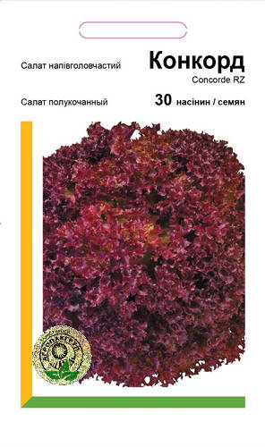 

Салат полукочанный Конкорд - 30 семян А (Rijk Zwaan)