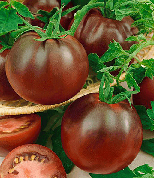 

Томат КАКАО