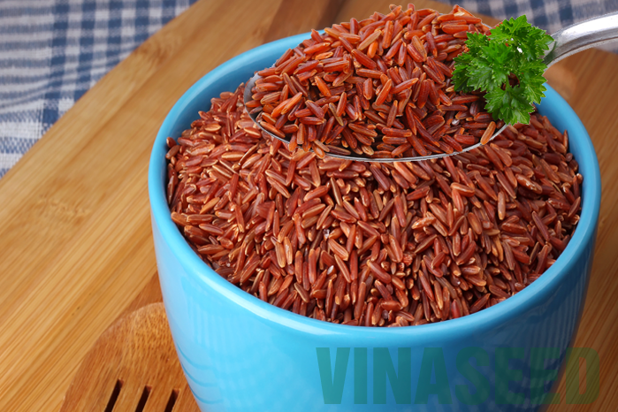 

Рис коричневый дикий, нешлифованный, красный рис, бурый 1кг (Вьетнам)