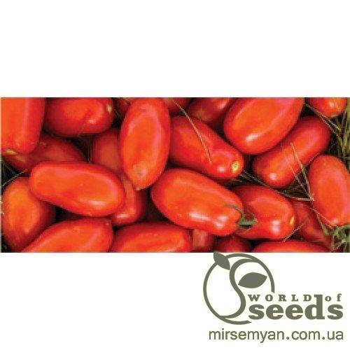 

Томат «Улиссе» F1 2500 с. Сингента, (Syngenta)