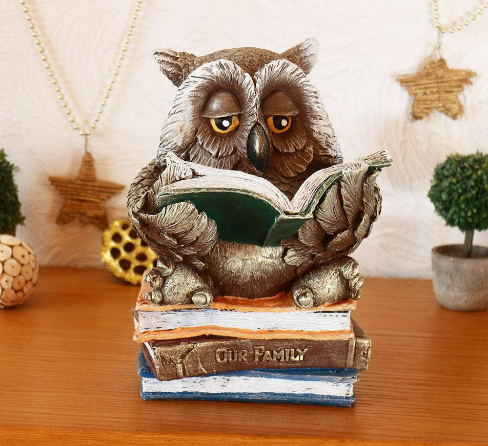 

Сова копилка на книжке цветная гипс Гранд Презент КГ017 цв