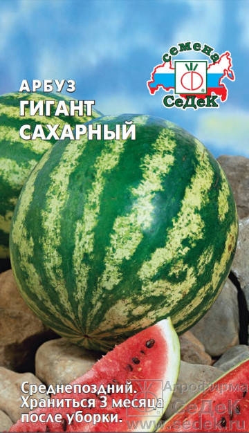 

Семена Арбуз лежкий Гигант Сахарный 1 грамм Седек