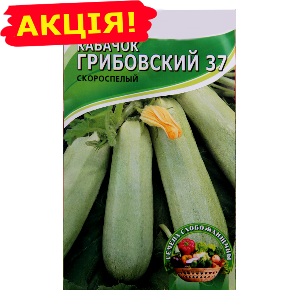 

Кабачок Грибовский 37 скороспелый большой пакет 10 г