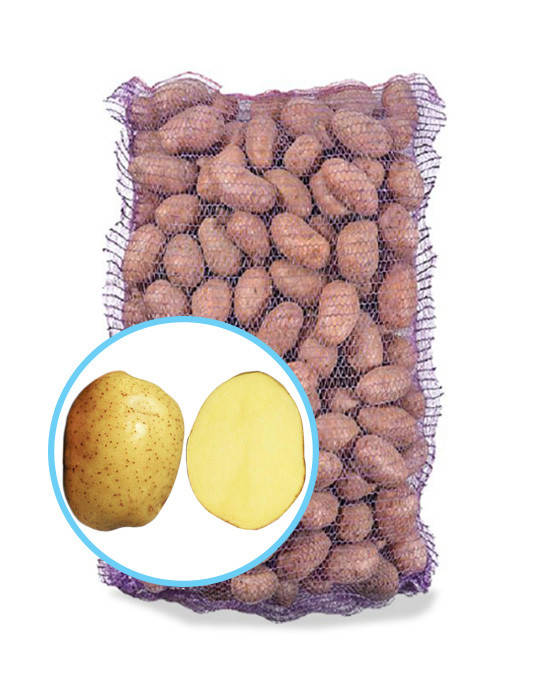 

Семенной картофель Ривьера, Голландия / Ранний / 1я репродукция