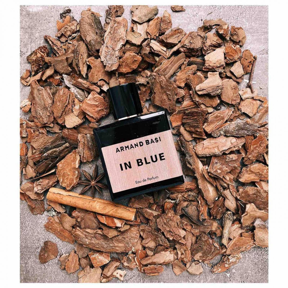 

Armand Basi In Blue - Perfume house Tester 60ml