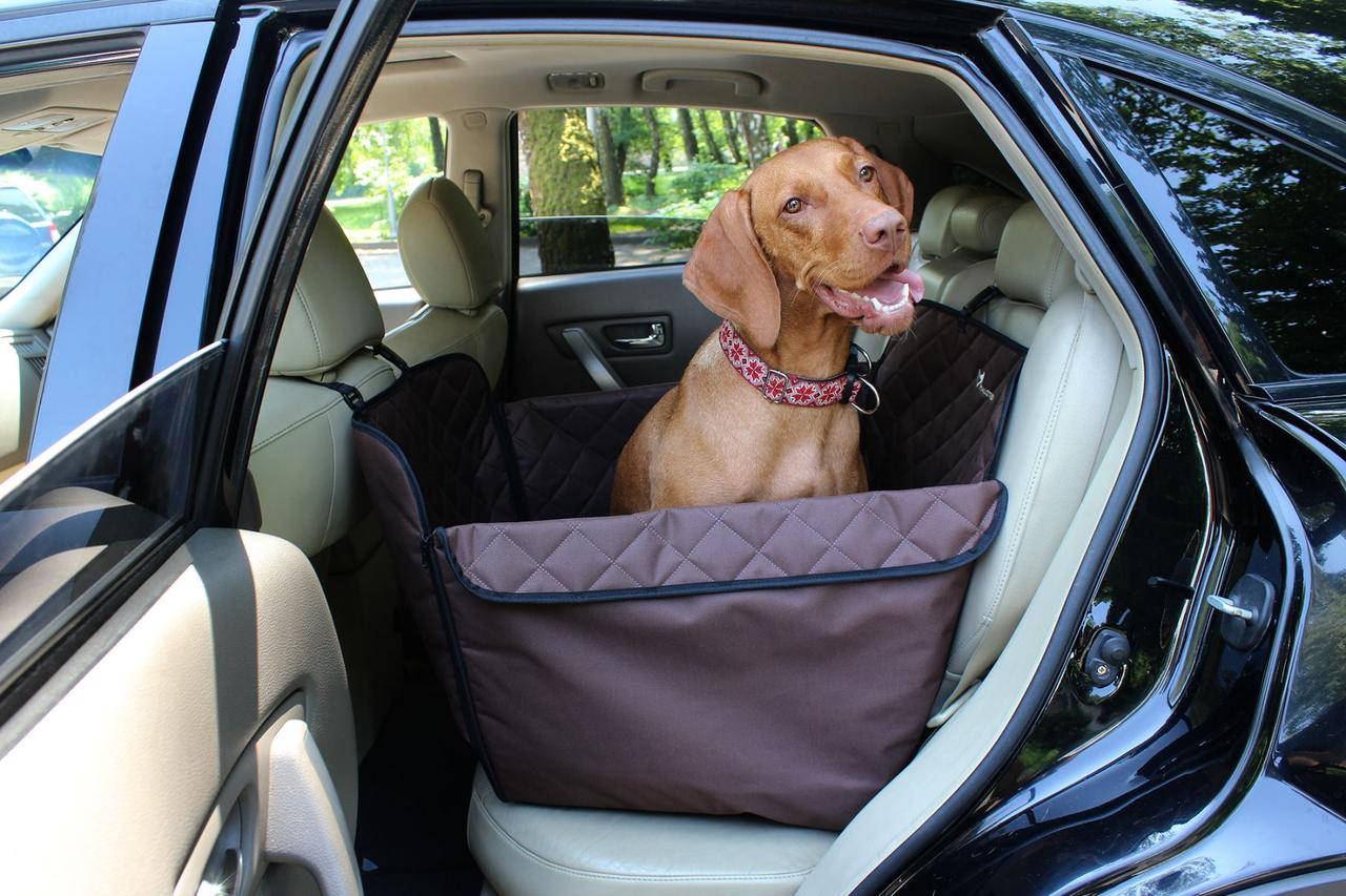 

Автогамак для Собак Elegant Brown mini 1/2 заднего сиденья 60x145см