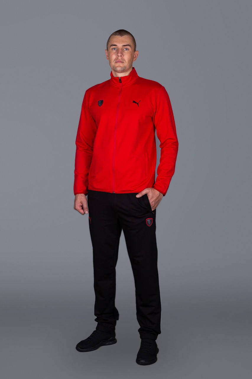 

Мужской спортивный костюм Puma Ferrari (Puma-Ferrari-z-2563-2) M