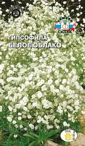 

Семена Гипсофила метельчатая Белое облако 0,2 грамма Седек, Белый