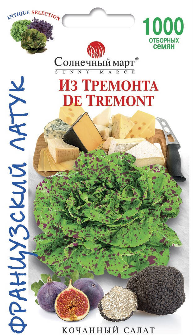 

Семена салата Из Тремонта 1000шт ТМ СОЛНЕЧНЫЙ МАРТ
