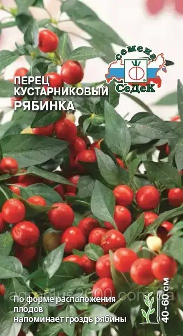 

Семена Перец декоративный кустарниковый Рябинка 0,05 грамма Седек